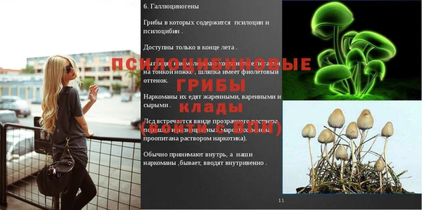 синтетический гашиш Беломорск